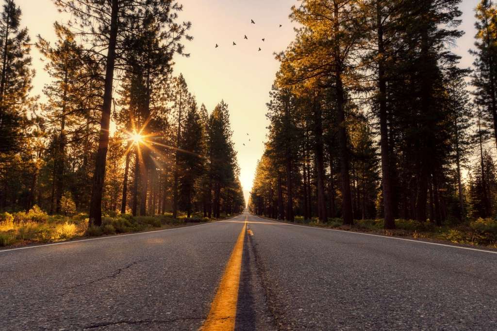 Up Late Therapy offers evening and late night appointments for adults in IL and MA